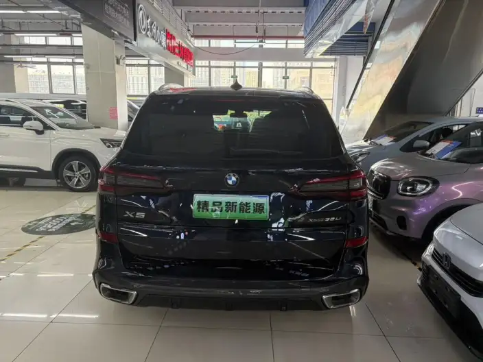 BMW X5 2022 Model xDrive 30Li Exclusive Model M Sports Set – фото 5