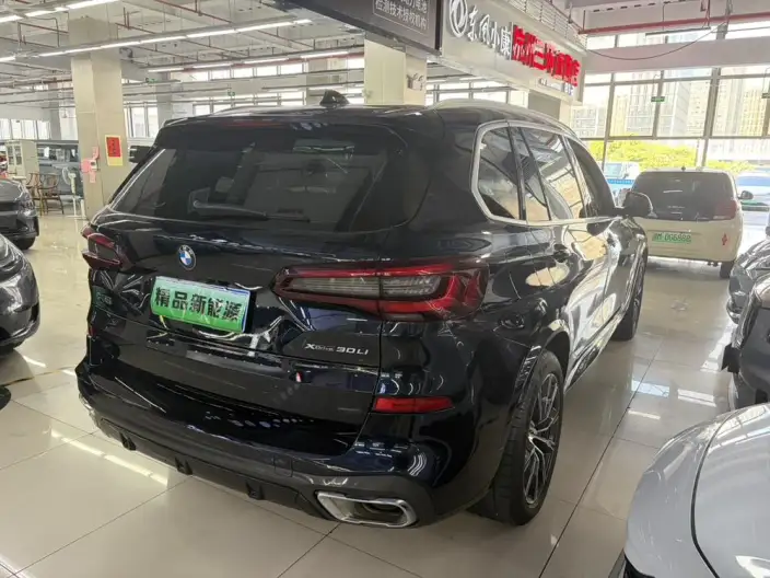 BMW X5 2022 Model xDrive 30Li Exclusive Model M Sports Set – фото 6
