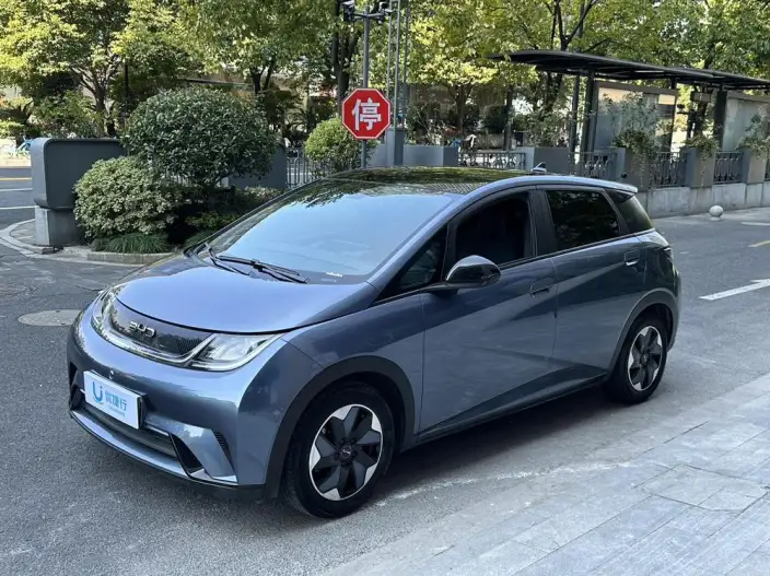 BYD Dolphin 2024 Model Honor Edition 420km Fashion Edition – фото 1