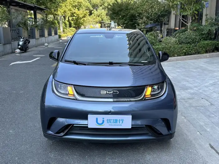 BYD Dolphin 2024 Model Honor Edition 420km Fashion Edition – фото 2