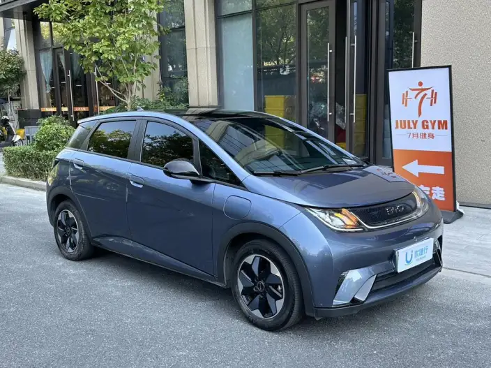 BYD Dolphin 2024 Model Honor Edition 420km Fashion Edition – фото 3