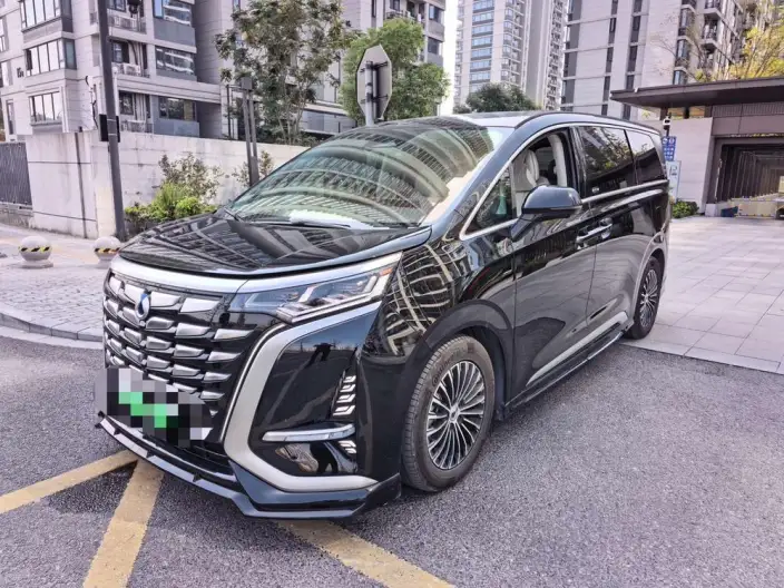 DENZA D9 DM 2024 Model 970 Luxury Model – фото 1