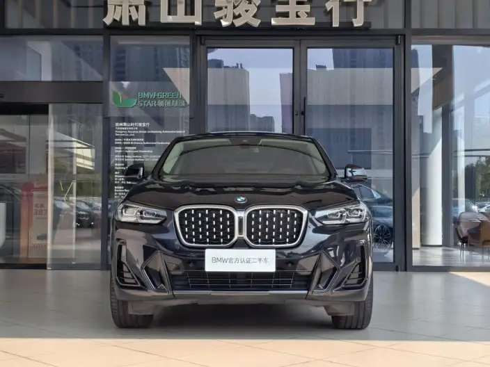 BMW X4 2022 Model xDrive 25i M Sports Set – фото 2