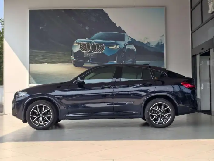 BMW X4 2022 Model xDrive 25i M Sports Set – фото 3