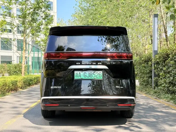 DENZA D9 DM 2024 Model 980 4WD Noble Model