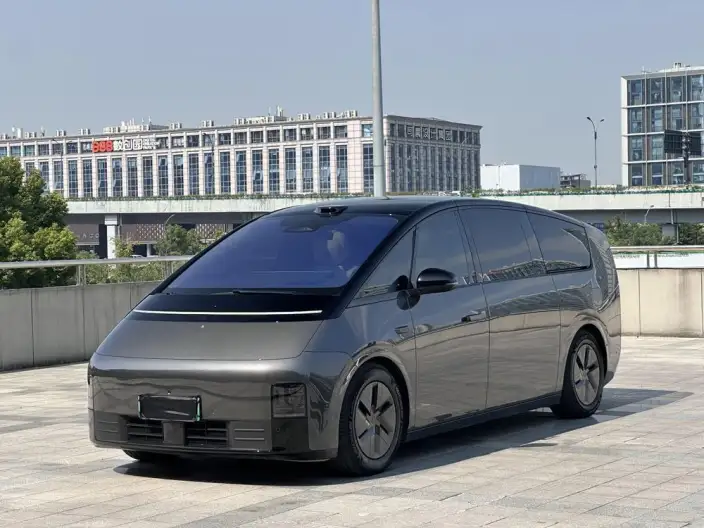 Li Auto MEGA 2025 Model Home Family Special Edition – фото 1