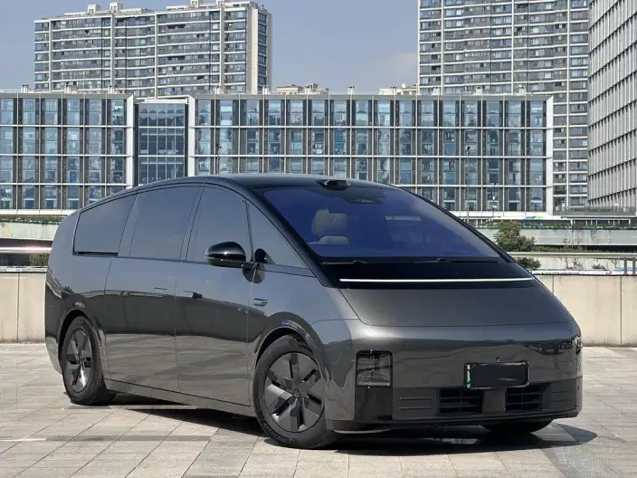 Li Auto MEGA 2025 Model Home Family Special Edition – фото 3