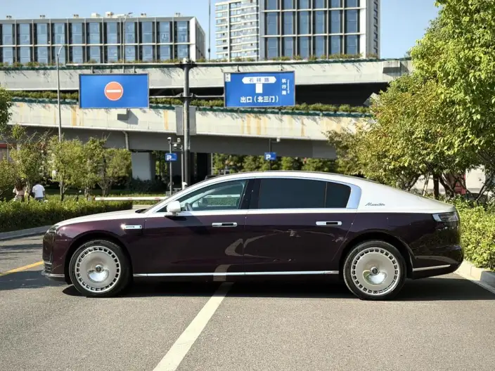 Zunjie S800 2025 Model Extended Range Star Edition Executive Edition 4 seat