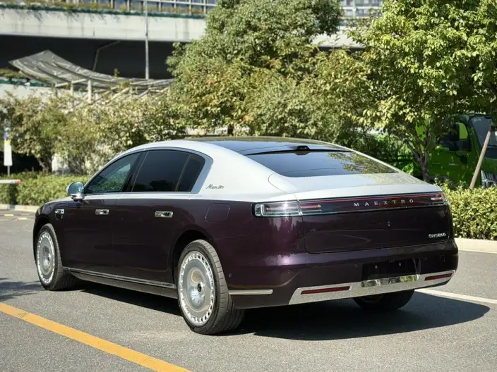 Zunjie S800 2025 Model Extended Range Star Edition Executive Edition 4 seat – фото 5