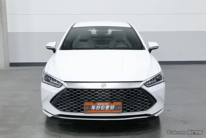 BYD Qin PLUS DM 2024 Model Honor Edition DM-i 55KM Leading Model – фото 2