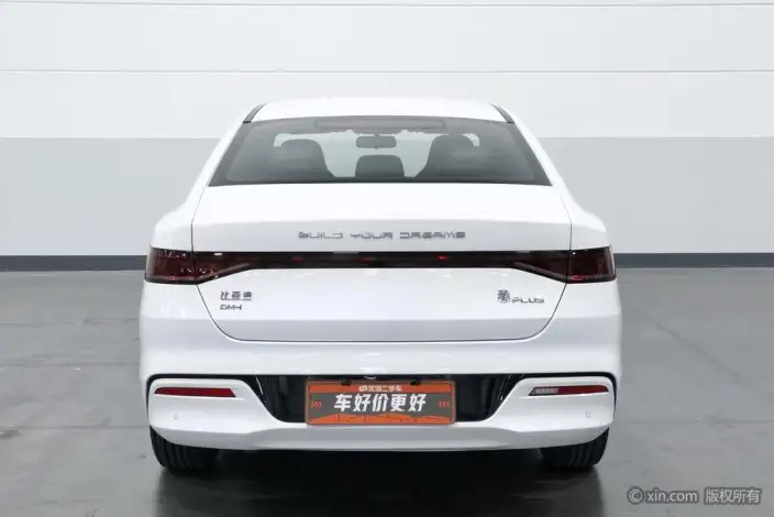 BYD Qin PLUS DM 2024 Model Honor Edition DM-i 55KM Leading Model – фото 3