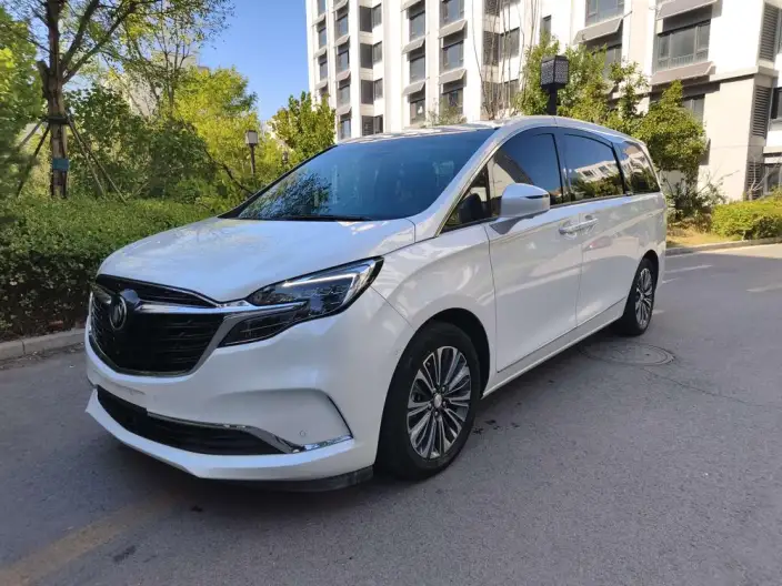 Buick GL8 2022 Model ES Luzun 653T Luxury Model – фото 1