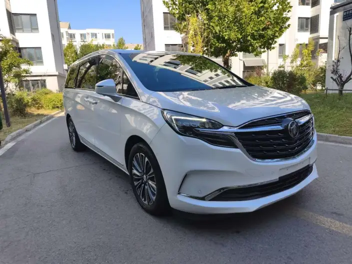 Buick GL8 2022 Model ES Luzun 653T Luxury Model – фото 3