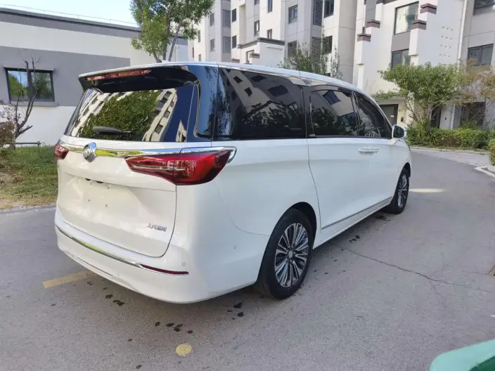 Buick GL8 2022 Model ES Luzun 653T Luxury Model – фото 6