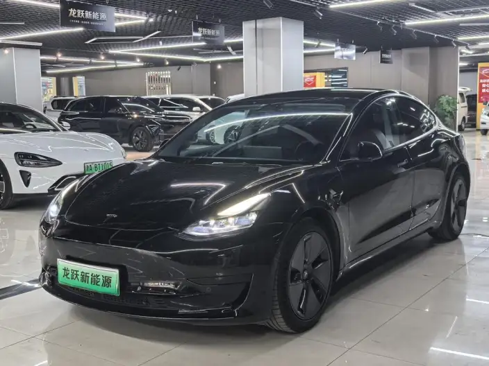 Model 3 2022 Model Rear-wheel drive version – фото 1