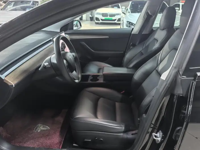 Model 3 2022 Model Rear-wheel drive version – фото 8