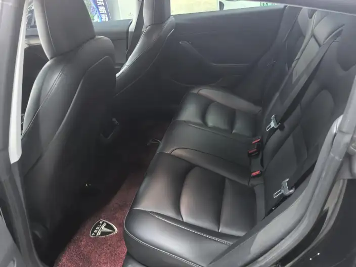 Model 3 2022 Model Rear-wheel drive version – фото 9