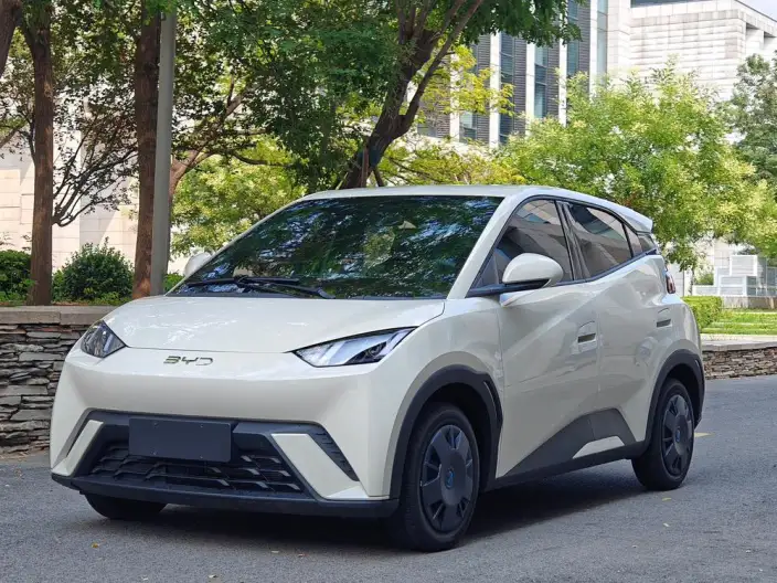 BYD Seagull 2024 Model Honor Edition 305KM Vitality Edition – фото 1