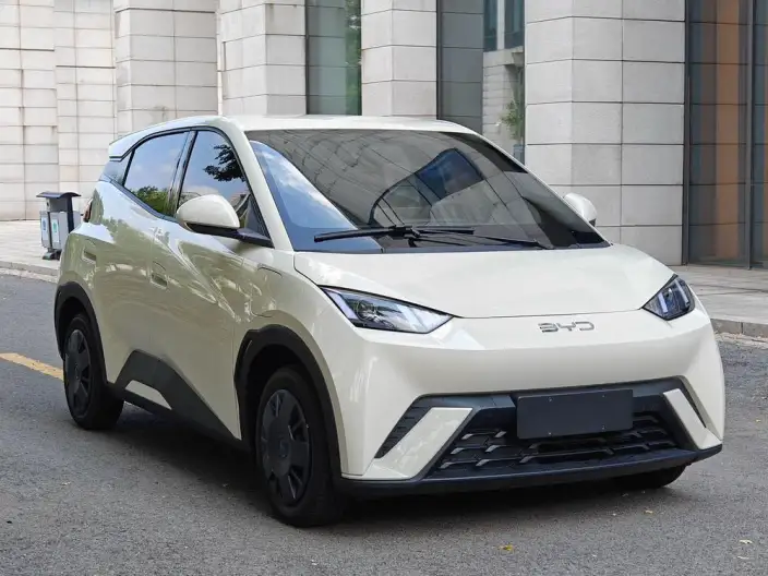 BYD Seagull 2024 Model Honor Edition 305KM Vitality Edition – фото 3
