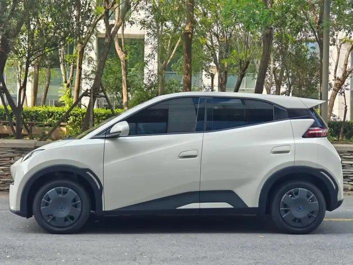 BYD Seagull 2024 Model Honor Edition 305KM Vitality Edition – фото 4