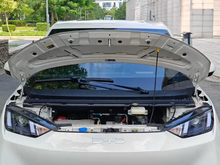 BYD Seagull 2024 Model Honor Edition 305KM Vitality Edition – фото 10