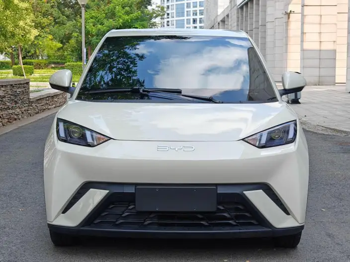 BYD Seagull 2024 Model Honor Edition 305KM Vitality Edition – фото 2