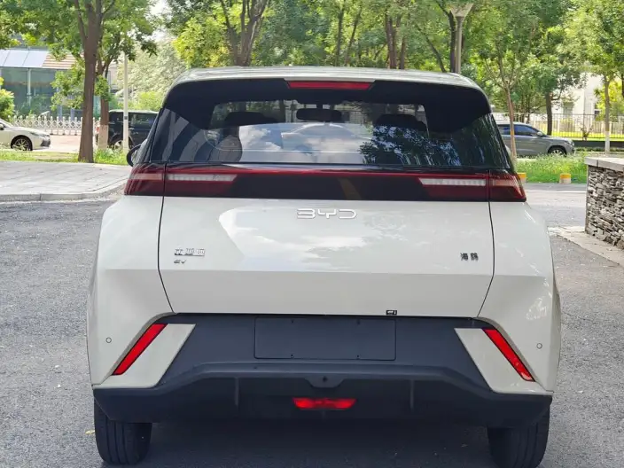 BYD Seagull 2024 Model Honor Edition 305KM Vitality Edition – фото 6