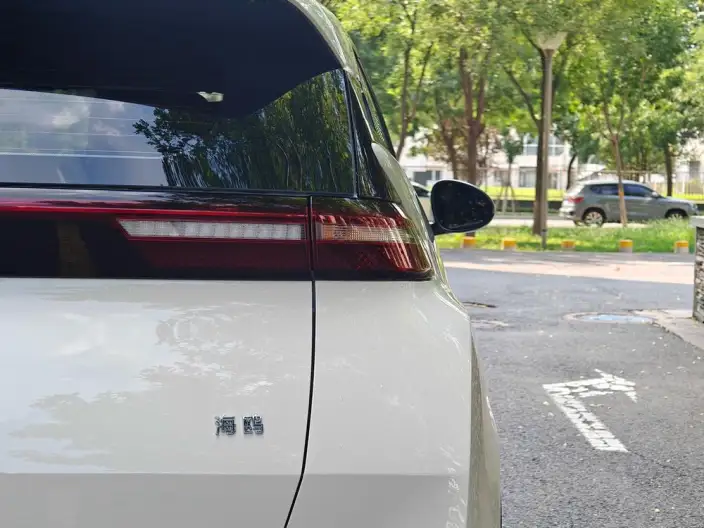 BYD Seagull 2024 Model Honor Edition 305KM Vitality Edition – фото 9