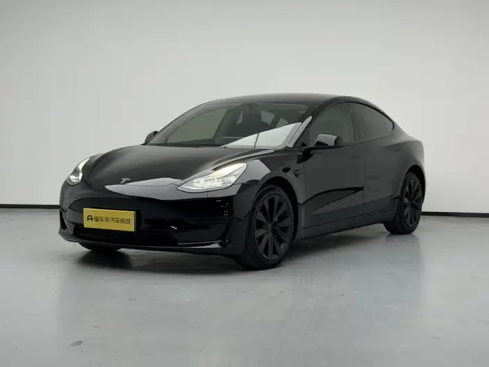 Model 3 2022 Model Rear-wheel drive version – фото 1
