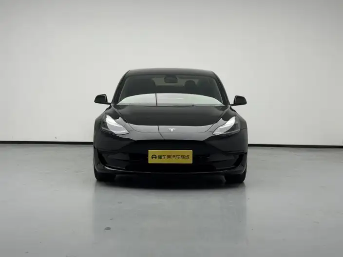Model 3 2022 Model Rear-wheel drive version – фото 2