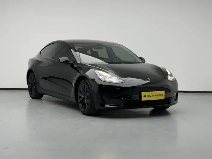 Model 3 2022 Model Rear-wheel drive version – фото 3