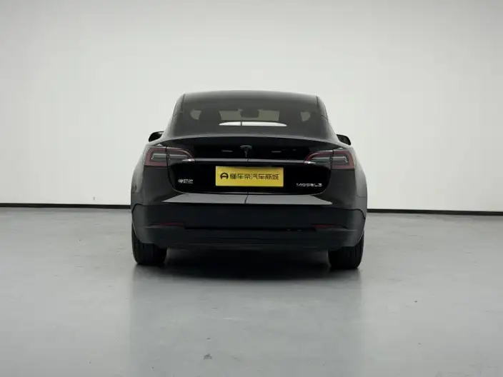 Model 3 2022 Model Rear-wheel drive version – фото 6