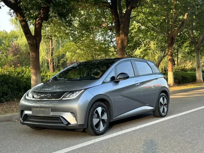 BYD Dolphin 2023 Model Fashion Edition – фото 1