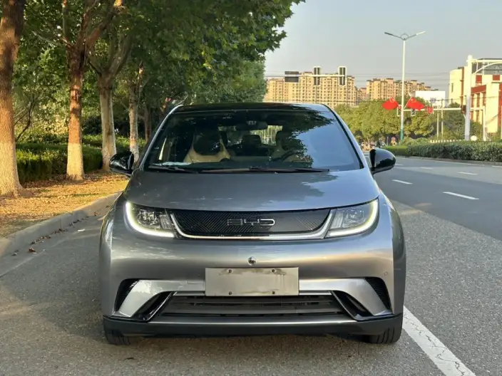 BYD Dolphin 2023 Model Fashion Edition – фото 2