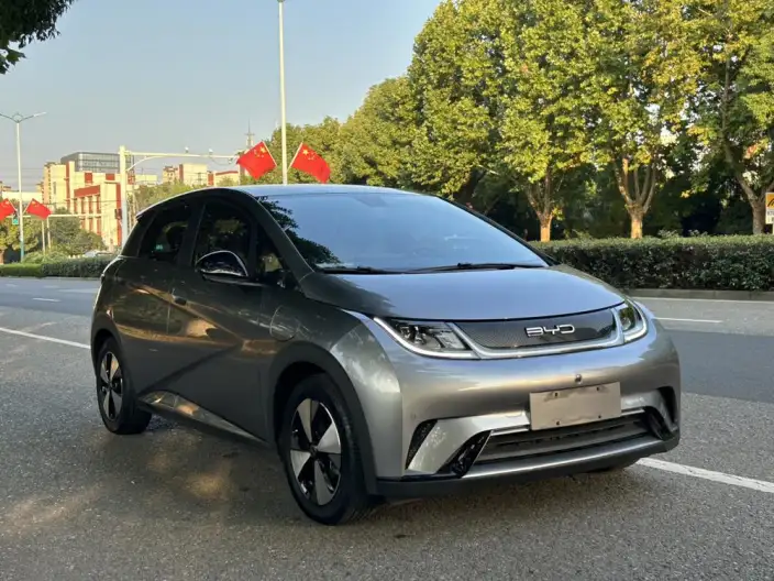 BYD Dolphin 2023 Model Fashion Edition – фото 3