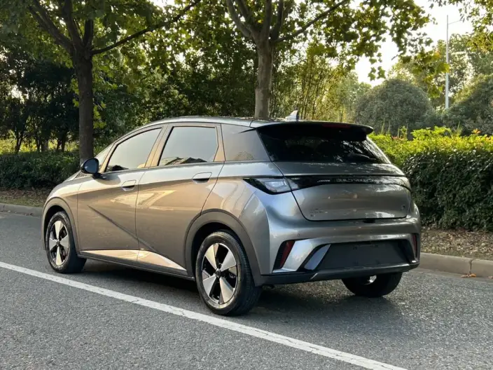 BYD Dolphin 2023 Model Fashion Edition – фото 5