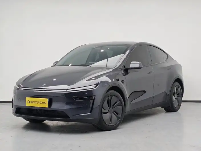 Model Y 2025 Model Rear-wheel drive version – фото 1