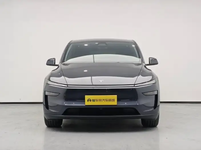 Model Y 2025 Model Rear-wheel drive version – фото 2