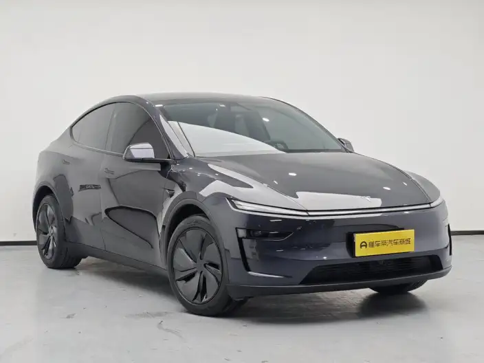 Model Y 2025 Model Rear-wheel drive version – фото 3