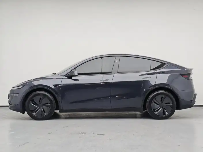 Model Y 2025 Model Rear-wheel drive version – фото 4