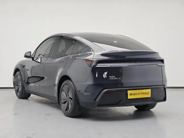 Model Y 2025 Model Rear-wheel drive version – фото 5
