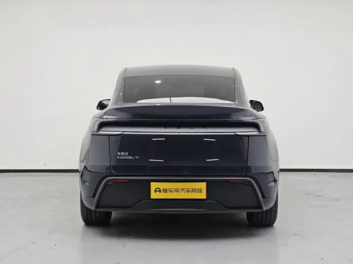 Model Y 2025 Model Rear-wheel drive version – фото 6