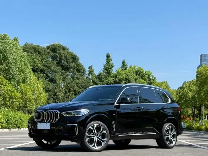 BMW X5 2022 Model xDrive 40Li Exclusive Model M Sports Set – фото 1