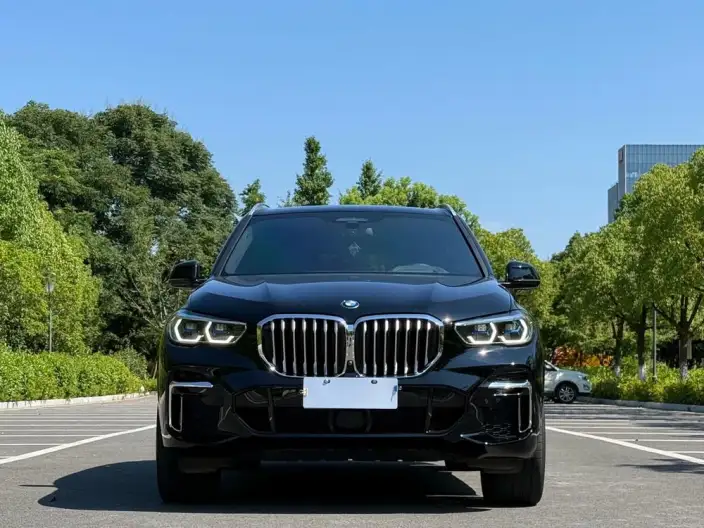 BMW X5 2022 Model xDrive 40Li Exclusive Model M Sports Set – фото 2