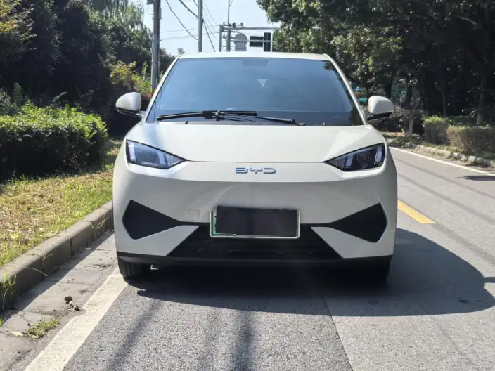 BYD Seagull 2025 Model 305KM Vitality Edition – фото 2