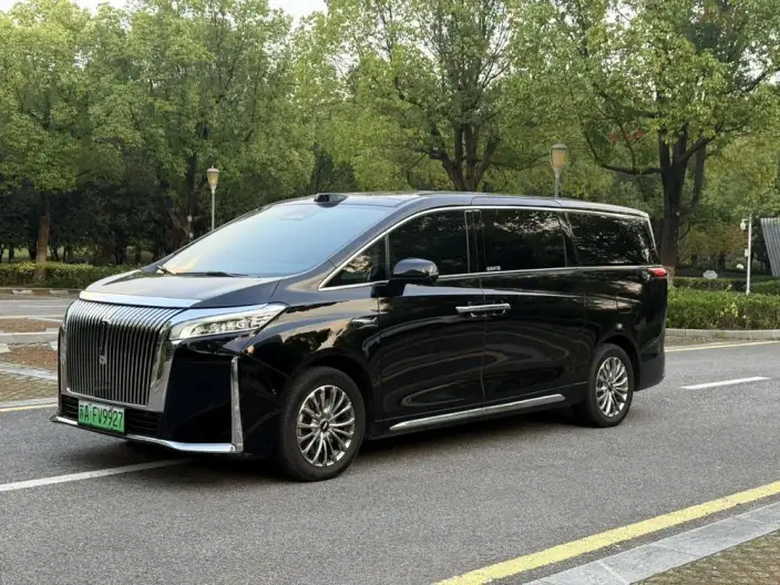 Wey Gaoshan P HEV 2025 Model 4WD Wey Gaoshan 9
