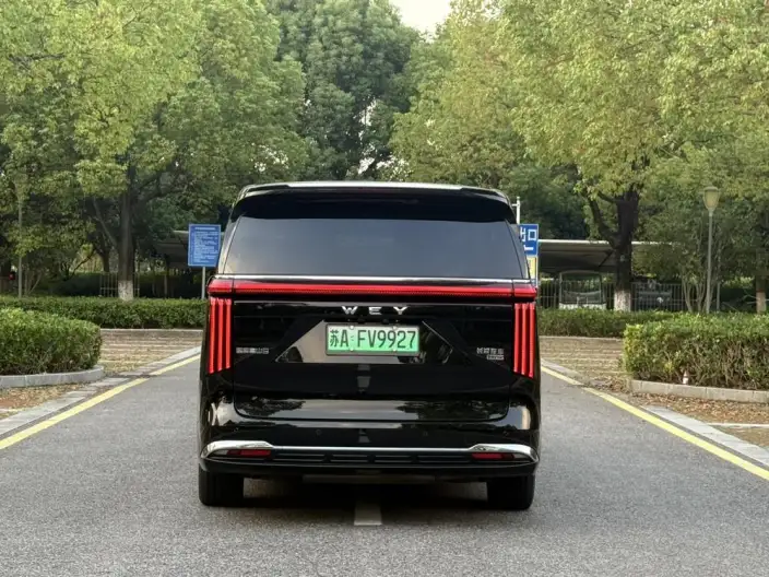 Wey Gaoshan P HEV 2025 Model 4WD Wey Gaoshan 9 – фото 5