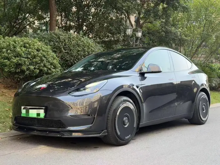 Model Y 2024 Model Long Battery Life Pro All-wheel drive version – фото 1