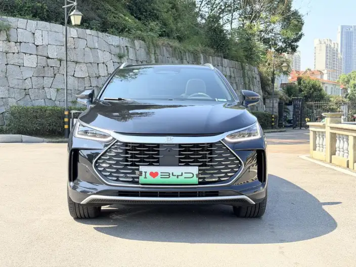 BYD Tang DM 2025 Model Smart Driving Edition DM-i 115KM Flagship Model – фото 2