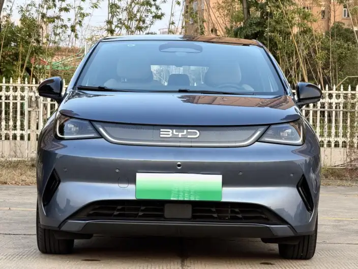 BYD Dolphin 2025 Model Smart Driving Edition 410KM Fashion Edition – фото 2